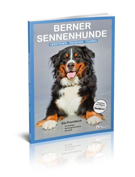 Produktbild: Berner Sennenhunde