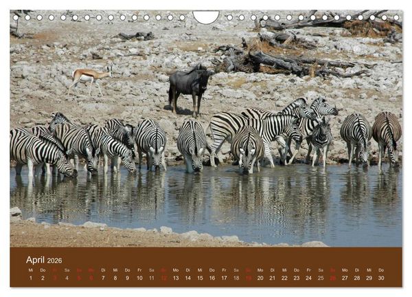 Produktbild: Namibia - faszinierende Menschen und Tiere (Wandkalender 2026 DIN A4 quer), CALVENDO Monatskalender