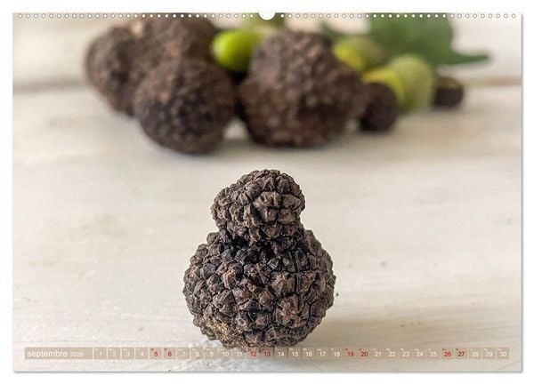 Produktbild: Tr&eacute;sors de truffes fran&ccedil;aises (Calendrier mural 2026 DIN A2 vertical), CALVENDO calendrier mensuel