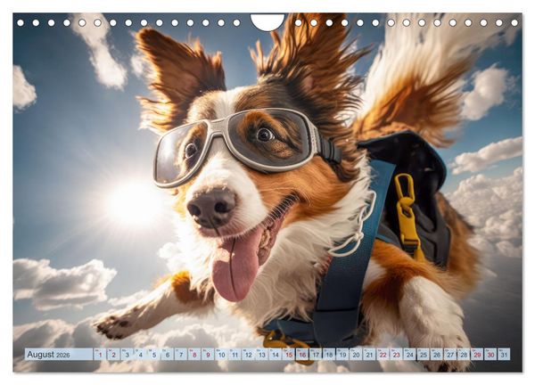 Produktbild: Hunde Skydiving (Wandkalender 2026 DIN A4 quer), CALVENDO Monatskalender