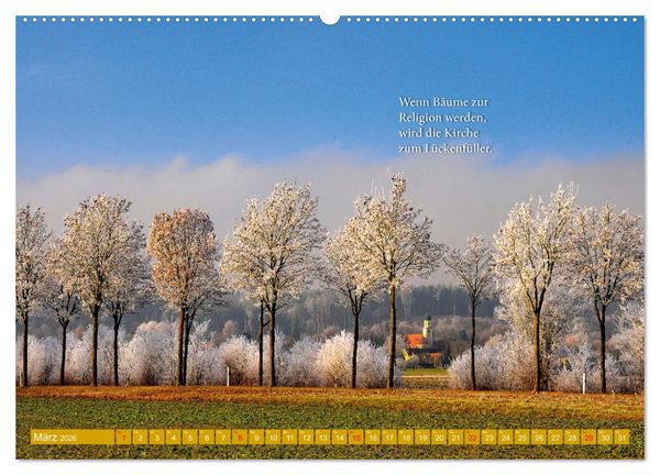 Produktbild: Rollentausch &ndash; Bebilderte Wortspielereien (Wandkalender 2026 DIN A2 quer), CALVENDO Monatskalender