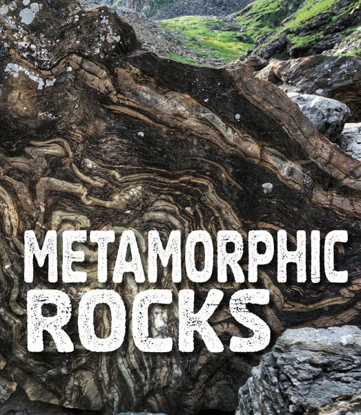 Produktbild: Metamorphic Rocks
