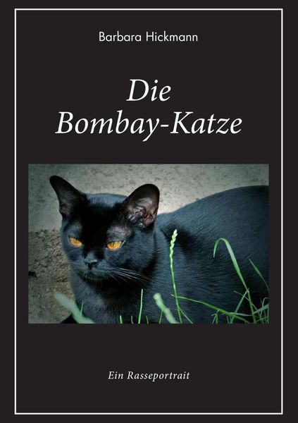Produktbild: Die Bombay-Katze