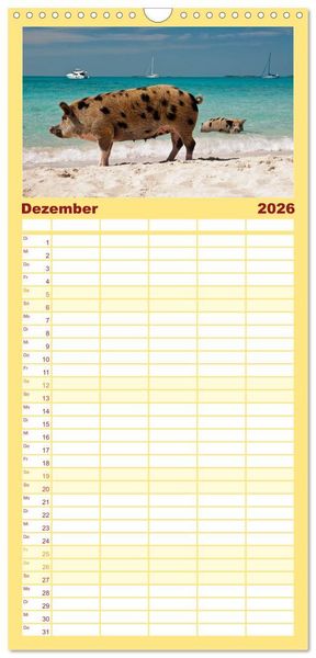 Produktbild: Familienplaner 2026 - Schweine im Dauerurlaub auf den Bahamas! mit 5 Spalten (Wandkalender, 21 x 45 cm) CALVENDO