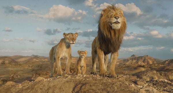 Mufasa - Der König der Löwen