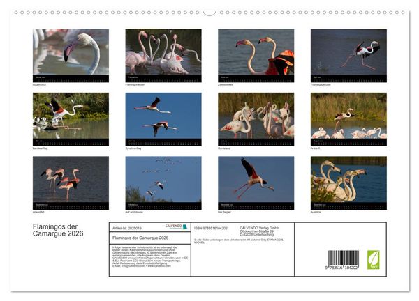 Produktbild: Flamingos der Camargue 2026 (hochwertiger Premium Wandkalender 2026 DIN A2 quer), Kunstdruck in Hochglanz