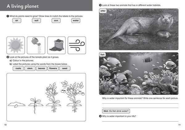 Produktbild: Our planet - Workbook 2