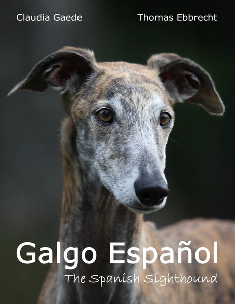 Produktbild: Galgo Espa&ntilde;ol