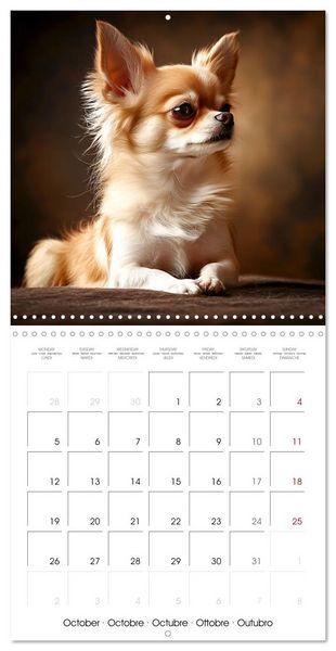 Produktbild: Cute Chihuahua (Wall Calendar 2026 12 &times; 12 Inch) CALVENDO 12 Month Wall Calendar