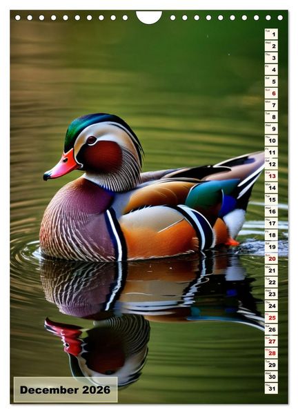 Produktbild: Colourful birds (Wall Calendar 2026 DIN A4 portrait), CALVENDO 12 Month Wall Calendar