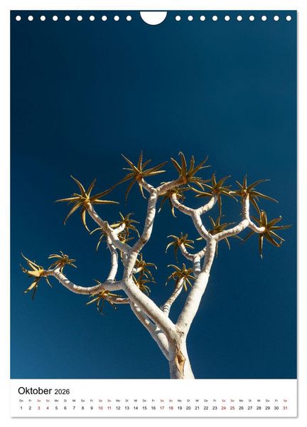Produktbild: Naturparadies Namibia (Wandkalender 2026 DIN A4 hoch), CALVENDO Monatskalender