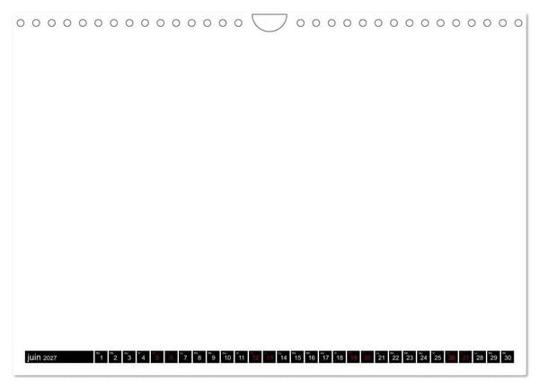 Produktbild: Wichtige Angaben f&uuml;r den Handel fff (Wandkalender 2027 DIN A4 quer), CALVENDO Monatskalender