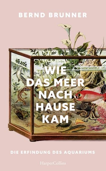Produktbild: Wie das Meer nach Hause kam. Die Erfindung des Aquariums