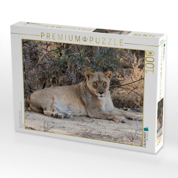Produktbild: CALVENDO Puzzle Alte L&ouml;win bei Leeubron, Etosha | 1000 Teile Lege-Gr&ouml;&szlig;e 64x48cm Foto-Puzzle f&uuml;r gl&uuml;ckliche Stunden