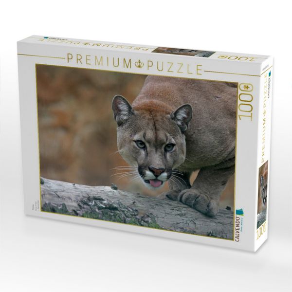 Produktbild: CALVENDO Puzzle Puma | 1000 Teile Lege-Gr&ouml;&szlig;e 64x48cm Foto-Puzzle f&uuml;r gl&uuml;ckliche Stunden