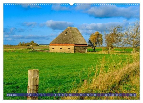 Produktbild: Ein Blick auf die Insel Texel (Wandkalender 2026 DIN A2 quer), CALVENDO Monatskalender