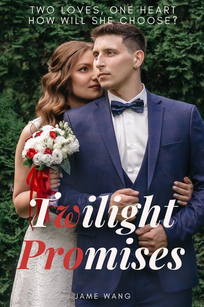 Produktbild: Twilight Promises