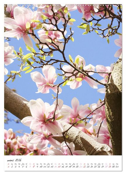 Produktbild: Heureux au jardin (Calendrier mural 2026 DIN A2 horizontal), CALVENDO calendrier mensuel