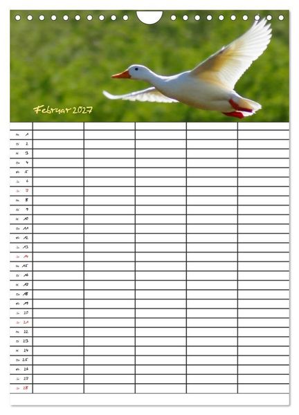 Produktbild: Bauernhoftiere Familienplaner (Wandkalender 2027 DIN A4 hoch), CALVENDO Monatskalender