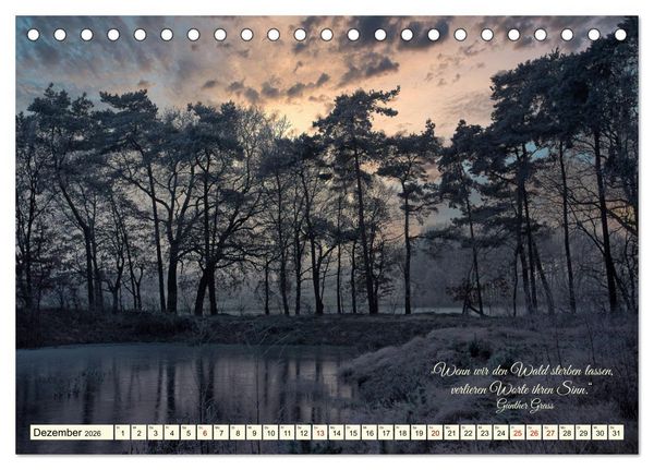 Produktbild: Waldbaden - Shinrin Yoku (Tischkalender 2026 DIN A5 quer), CALVENDO Monatskalender
