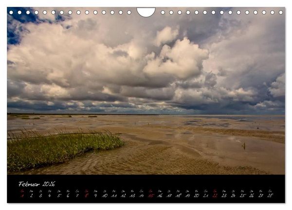 Produktbild: Friedrichskoog Buhnen und Salzwiesen (Wandkalender 2026 DIN A4 quer), CALVENDO Monatskalender
