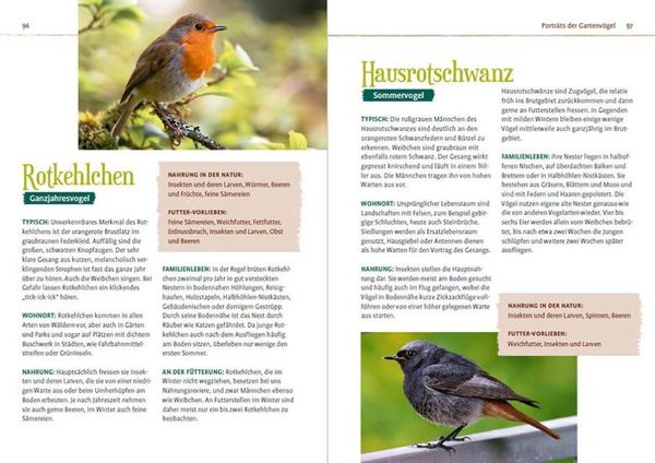 Produktbild: V&ouml;gel f&uuml;ttern im Garten