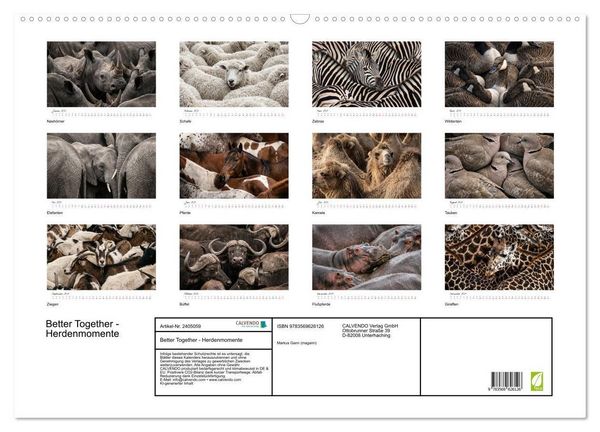 Produktbild: Better Together - Herdenmomente (Wandkalender 2027 DIN A2 quer), CALVENDO Monatskalender