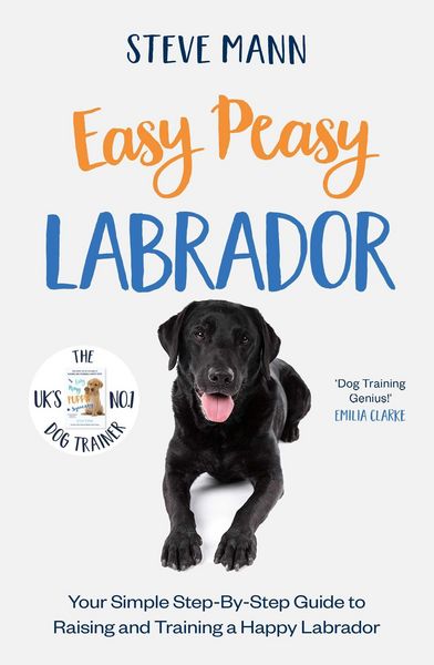 Produktbild: Easy Peasy Labrador