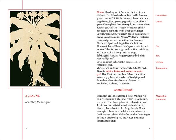 Produktbild: Das Kräuterbuch des Johann Christoph Ende