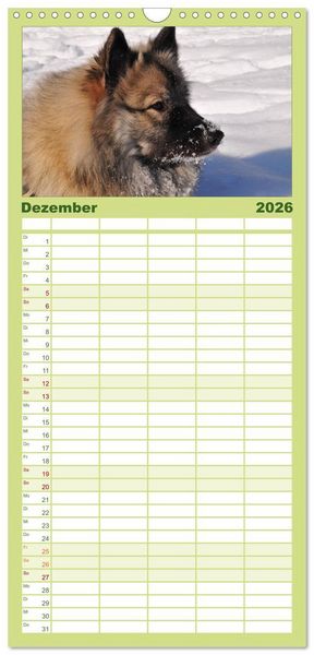 Produktbild: Familienplaner 2026 - Der Wolfsspitz mit 5 Spalten (Wandkalender, 21 x 45 cm) CALVENDO