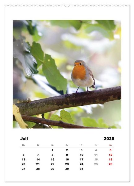 Produktbild: Rotkehlchen, s&uuml;&szlig;e kleine Knutschkugeln (Wandkalender 2026 DIN A2 hoch), CALVENDO Monatskalender