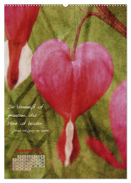 Produktbild: Blumen & Zitate (hochwertiger Premium Wandkalender 2026 DIN A2 hoch), Kunstdruck in Hochglanz