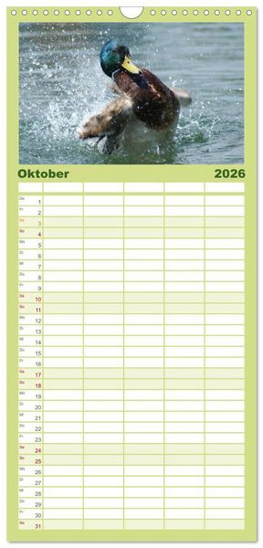 Produktbild: Familienplaner 2026 - Duck Power mit 5 Spalten (Wandkalender, 21 x 45 cm) CALVENDO