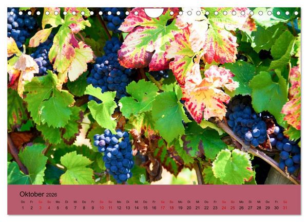 Produktbild: Die Weinsta&szlig;e im Elsass (Wandkalender 2026 DIN A4 quer), CALVENDO Monatskalender