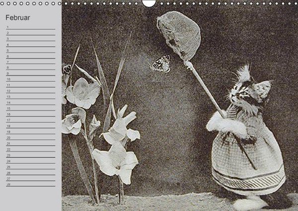 Produktbild: Katzen und Hunde - Nostalgie auf Pfoten (Wandkalender immerw&auml;hrend DIN A3 quer)