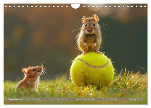 Produktbild: Tierische Balljunkies (Wandkalender 2026 DIN A4 quer), CALVENDO Monatskalender