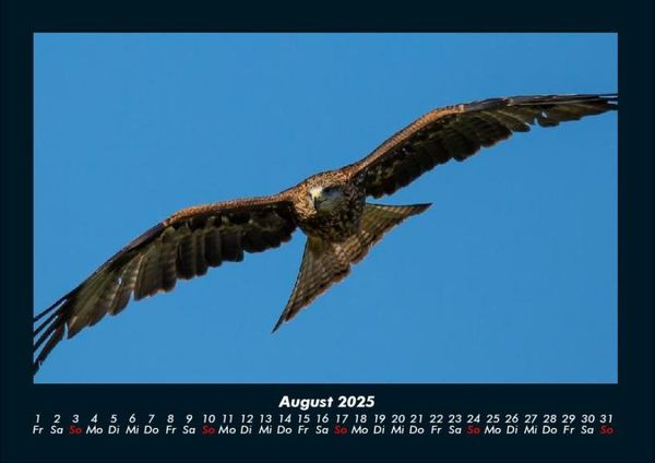 Produktbild: Adler 2025 Fotokalender DIN A4