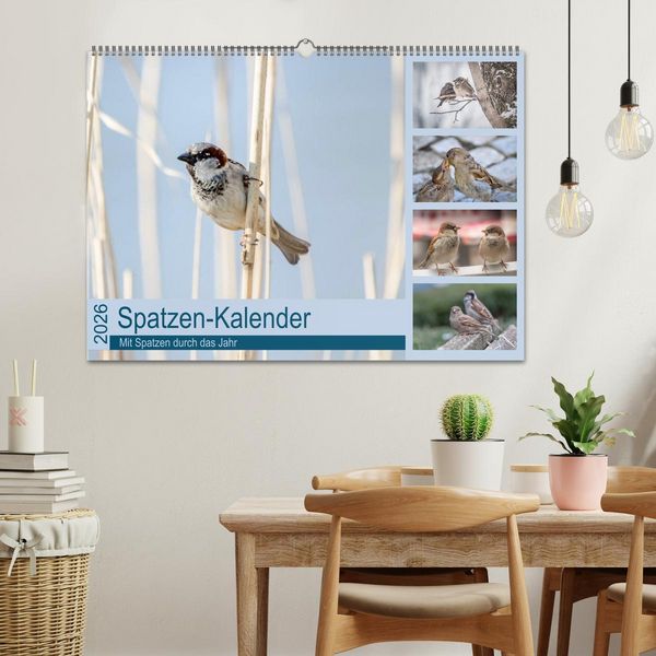 Produktbild: Spatzen-Kalender (Wandkalender 2026 DIN A2 quer), CALVENDO Monatskalender