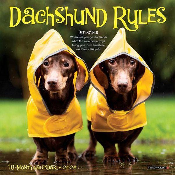 Produktbild: Dachshund Rules 2026 Mini Wall Calendar