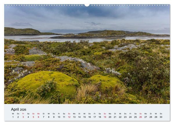 Produktbild: Feuerland - Am Puls der Wildnis (Wandkalender 2026 DIN A2 quer), CALVENDO Monatskalender