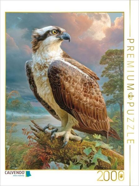 CALVENDO Puzzle Raubvögel | 2000 Teile Lege-Größe 90x67cm Foto-Puzzle für glückliche Stunden
