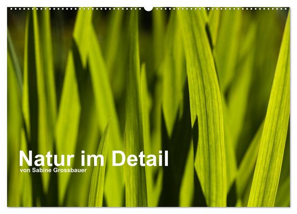 Produktbild: Natur im Detail (Wandkalender 2026 DIN A2 quer), CALVENDO Monatskalender