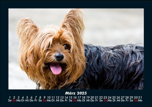 Produktbild: Welt der Tiere 2025 Fotokalender DIN A5