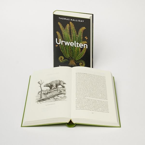 Produktbild: Urwelten
