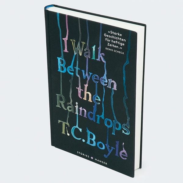 Produktbild: I walk between the Raindrops. Storys