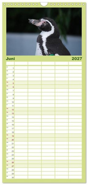 Produktbild: Familienplaner 2027 - Pinguine 2027 mit 5 Spalten (Wandkalender, 21 x 45 cm) CALVENDO