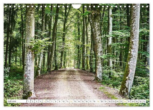 Produktbild: B&auml;ume im Altm&uuml;hltal (Wandkalender 2026 DIN A4 quer), CALVENDO Monatskalender