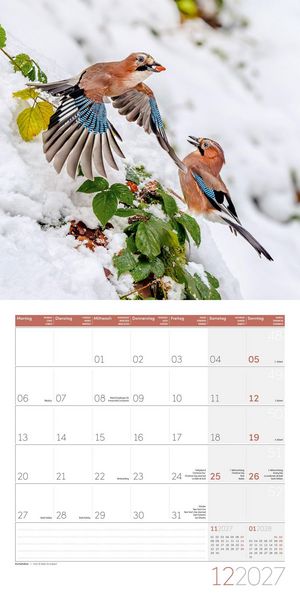 Produktbild: Gartenfreunde Kalender 2027 - 30x30 - Art12