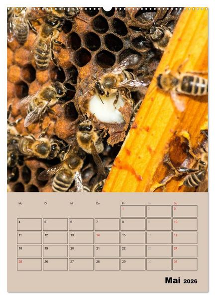 Produktbild: Bienenplaner (Wandkalender 2026 DIN A2 hoch), CALVENDO Monatskalender