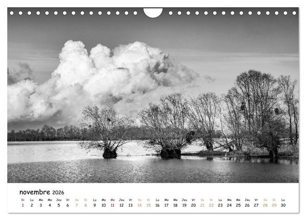 Produktbild: Terres de contraste &ndash; Une ann&eacute;e en monochrome (Calendrier mural 2026 DIN A4 vertical), CALVENDO calendrier mensuel